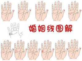 婚姻線圖解大全
