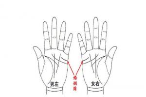 婚姻線怎么看圖解，婚姻線是哪一條？