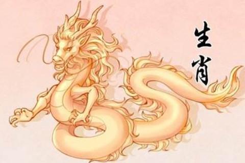 屬龍和什么屬相最配