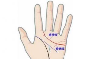 婚姻線和感情線的區(qū)別