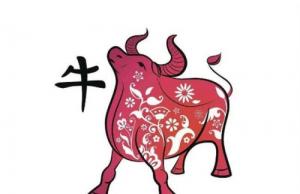 屬牛和什么屬相最配