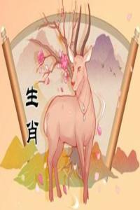 屬羊和什么屬相最配