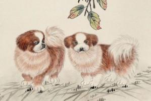 1994年屬什么生肖 今年多大了