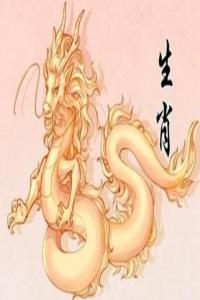 2000年是屬什么生肖 今年多大了