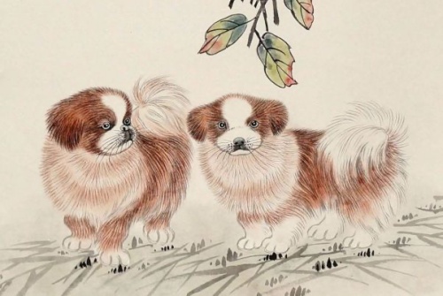 2006屬什么生肖 今年多大了