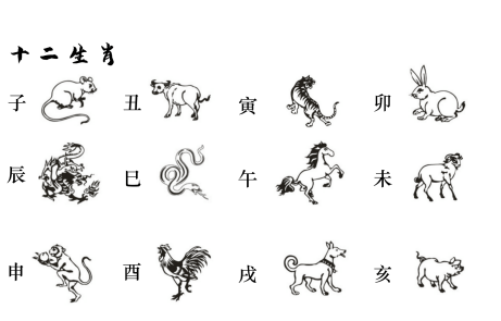 天干地支五行對照表十二生肖