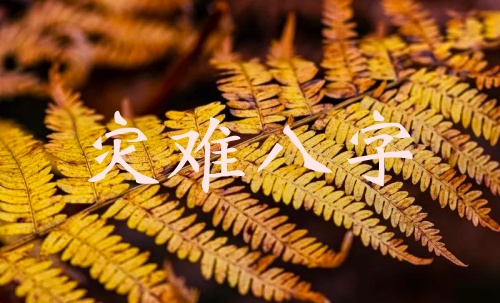 命局里易出現(xiàn)災(zāi)難的八字