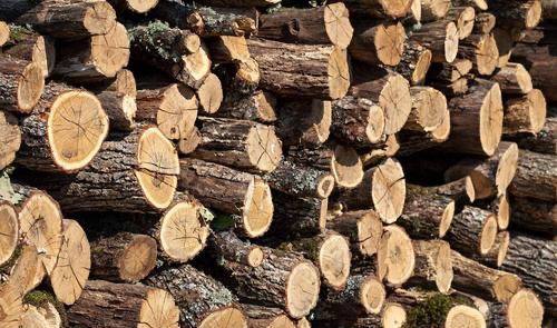 五行缺木的人適合什么工作