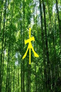 五行缺木會有什么影響