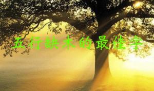 五行缺木的最佳字，五行缺木屬性的字大全！