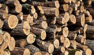 五行缺木的人適合什么工作