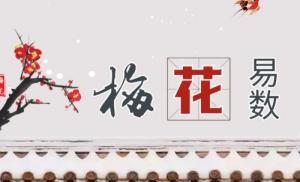 梅花易數(shù)起卦方法有哪些