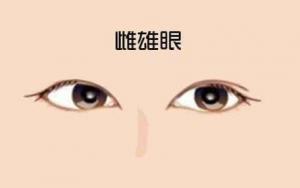 一內(nèi)雙一外雙是什么眼面相