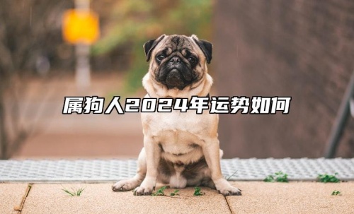 屬狗人2024年全年運(yùn)勢運(yùn)程，屬狗人2024年每月運(yùn)勢及運(yùn)程詳解！