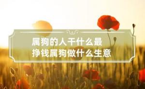 屬狗人做什么行業(yè)發(fā)財