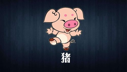 屬豬人今年下半年有大災(zāi)難