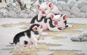 屬豬的和哪個(gè)屬相犯沖