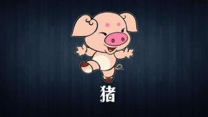 屬豬人今年下半年有大災(zāi)難