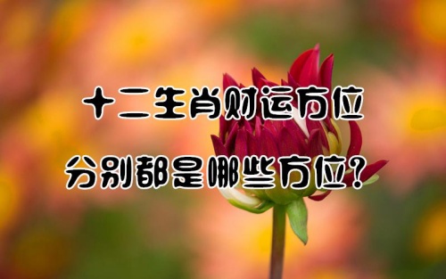 十二生肖財位對照表