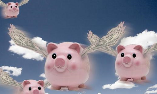 屬豬幾月生人命運(yùn)最好