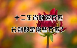 十二生肖財位對照表