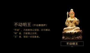 屬雞的守護神是什么菩薩