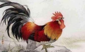 屬雞最討厭的生肖是誰