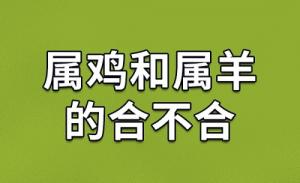 屬雞人和屬羊人婚配好不好