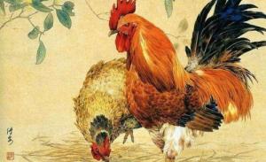 屬雞人的性格和優(yōu)缺點