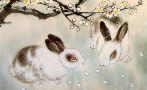 屬兔的人性格和優(yōu)缺點(diǎn)