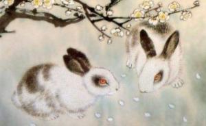 屬兔的人性格和優(yōu)缺點