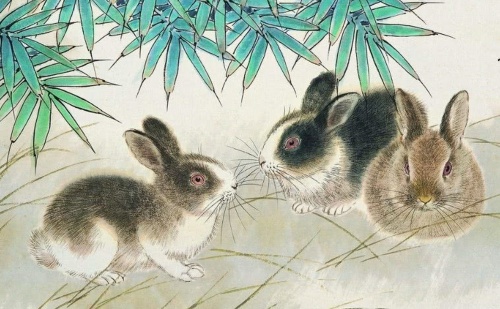 屬虎兔的今年多大