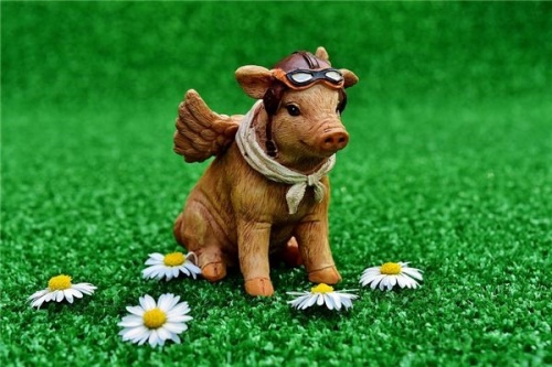 2007年屬什么生肖今年幾歲