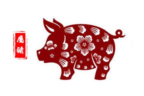 2019屬什么生肖 今年多大了