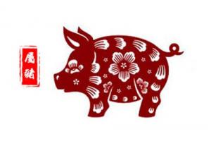 2019屬什么生肖 今年多大了