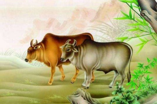 2021屬什么生肖 今年多大了