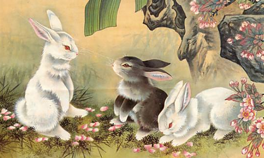 2023屬什么生肖 今年多大了 2023屬什么生肖 今年多大了