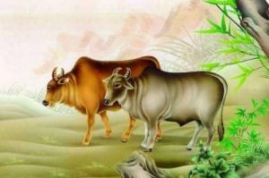 2021屬什么生肖 今年多大了