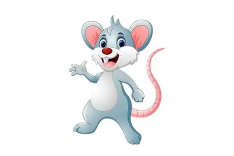 1984屬什么生肖 今年多大了