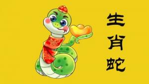 1989屬什么生肖 今年多大了