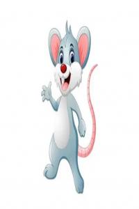 1984屬什么生肖 今年多大了