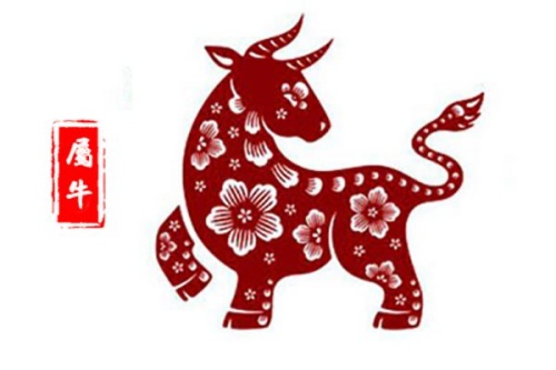 1973年屬什么生肖 今年多大了