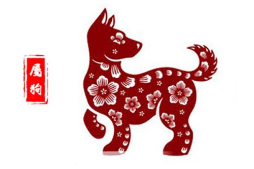 1970屬什么生肖 今年多大了