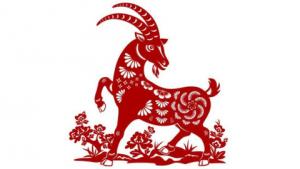 1979年屬什么生肖 今年多大了