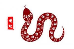 1977屬什么生肖 今年多大了