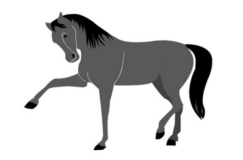 1966屬什么生肖 今年多大了