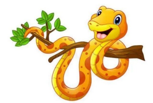 1965屬什么生肖 今年多大了