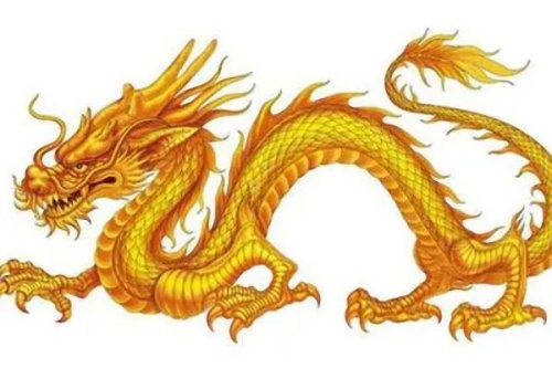 1964屬什么生肖 今年多大了