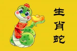 1953屬什么生肖 今年多大了