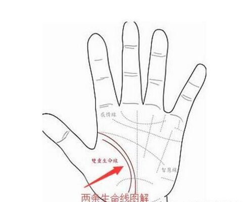 雙重生命線好不好,兩條生命線好不好？